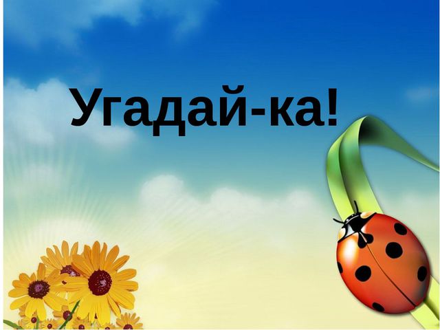 Загадки для детей