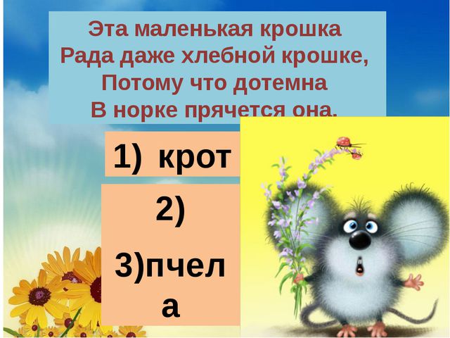 Загадки для детей