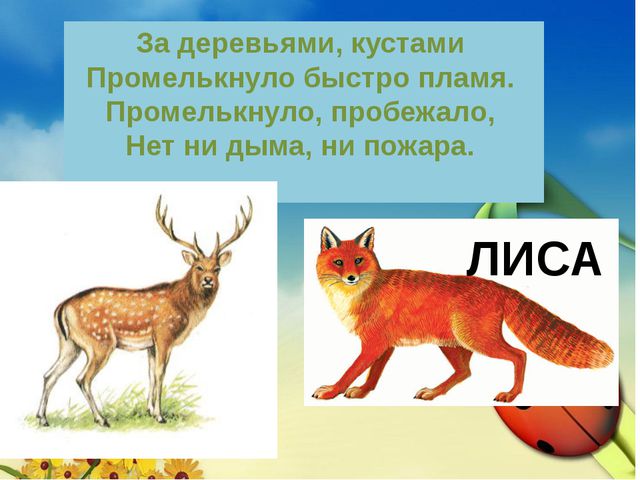 Загадки для детей