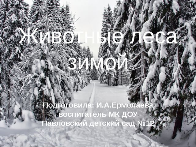 Животные леса зимой. Презентация для детей