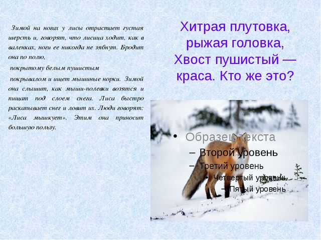 Животные леса зимой. Презентация для детей