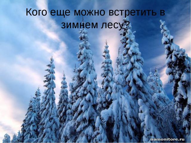 Животные леса зимой. Презентация для детей