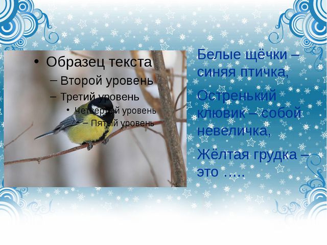 Дикие городские птицы. Презентация для детей