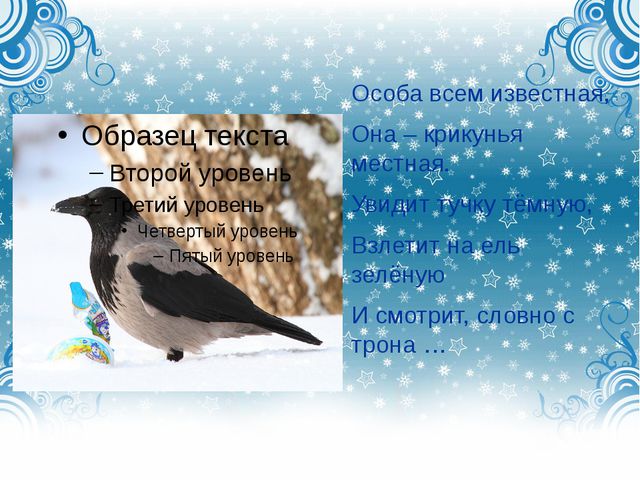 Дикие городские птицы. Презентация для детей