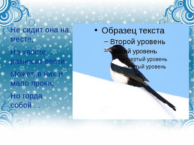 Дикие городские птицы. Презентация для детей