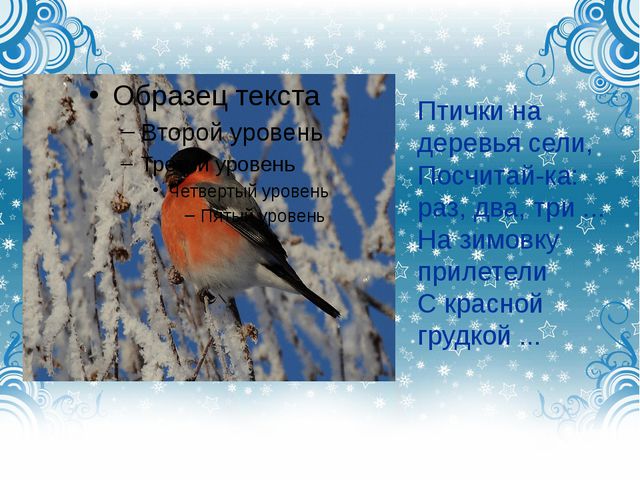 Дикие городские птицы. Презентация для детей