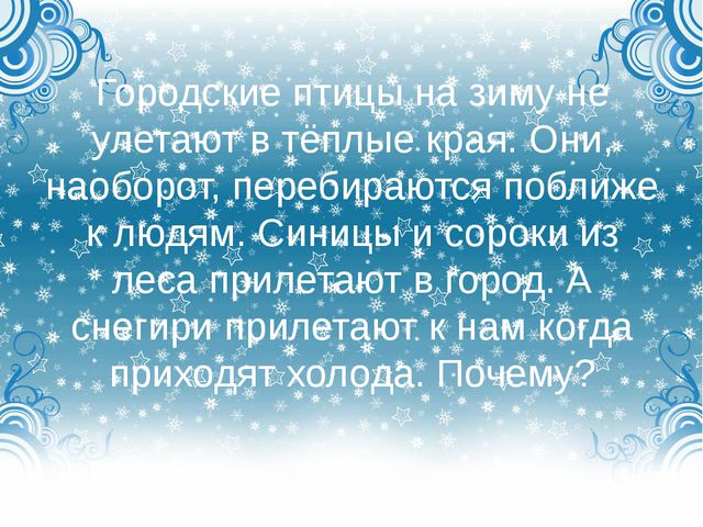 Дикие городские птицы. Презентация для детей