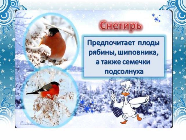 Дикие городские птицы. Презентация для детей