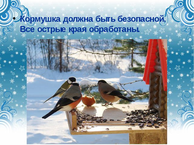 Дикие городские птицы. Презентация для детей