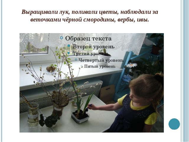 Вот и стали мы на год старше!