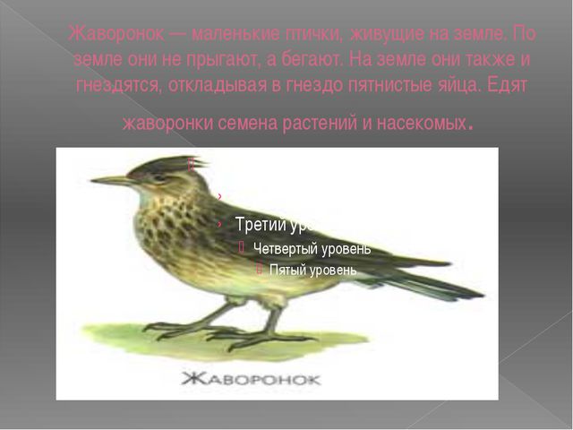 Перелётные птицы. Презентация для дошкольников