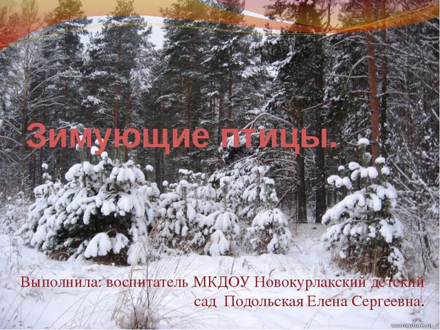 Зимующие птицы. Презентация для детей дошкольного возраста
