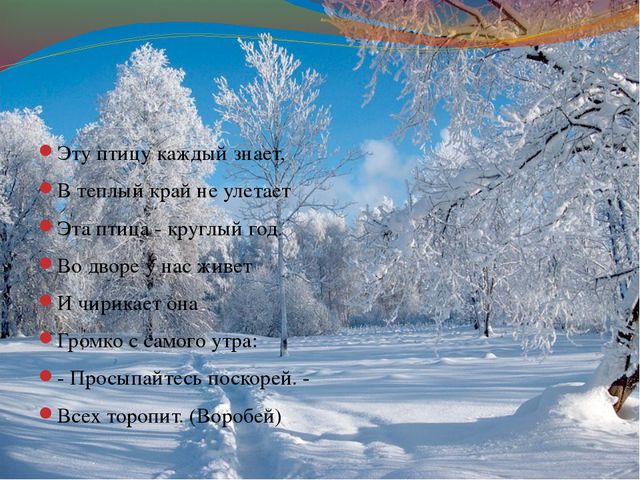 Зимующие птицы. Презентация для детей дошкольного возраста