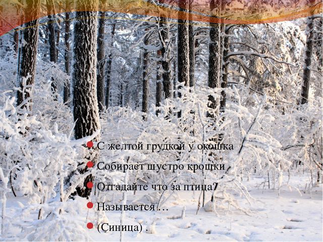 Зимующие птицы. Презентация для детей дошкольного возраста
