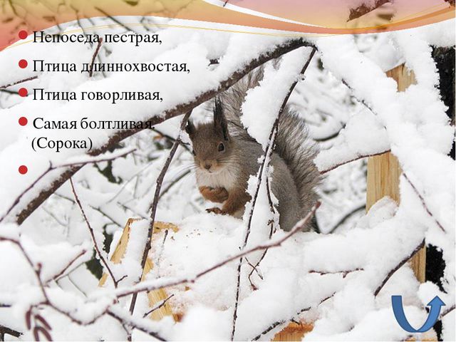 Зимующие птицы. Презентация для детей дошкольного возраста