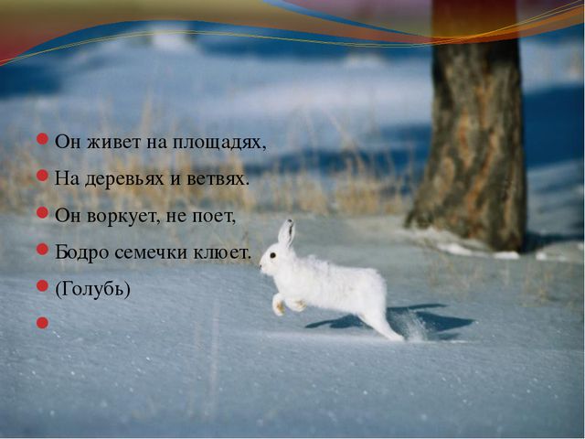 Зимующие птицы. Презентация для детей дошкольного возраста