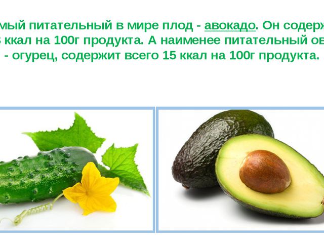 Рекордсмены среди плодов. Презентация для детей
