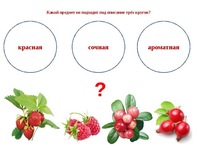 Описании под. Игра опиши предмет для дошкольников. Узнай предмет по описанию для дошкольников. Опиши предмет. Какой предмет.