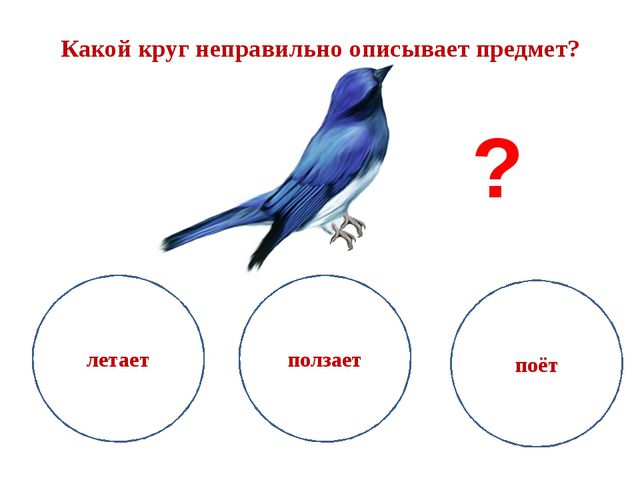 Дидактические игры для дошкольников. Презентация