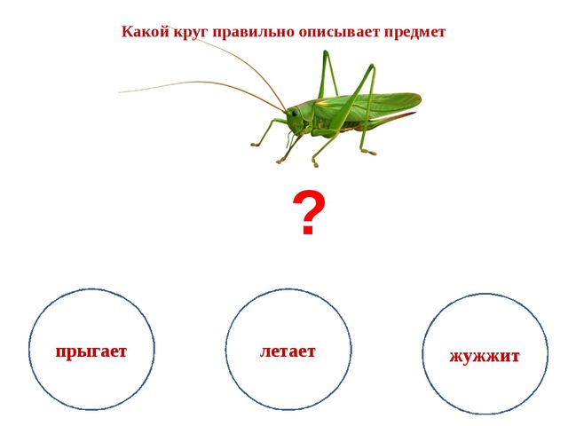 Дидактические игры для дошкольников. Презентация