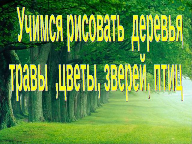 Учимся рисовать деревья, цветы, животных. Презентация по изо для дошкольников