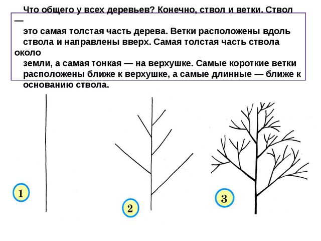 Учимся рисовать деревья, цветы, животных. Презентация по изо для дошкольников