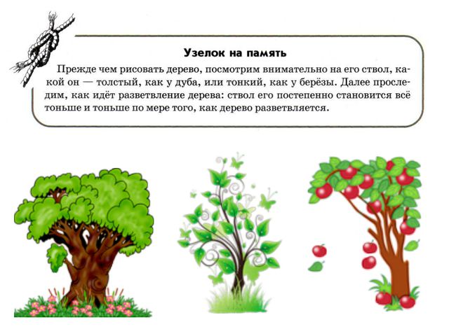 Учимся рисовать деревья, цветы, животных. Презентация по изо для дошкольников