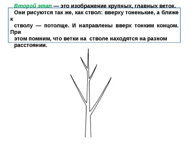Учимся рисовать деревья, цветы, животных. Презентация по изо для дошкольников