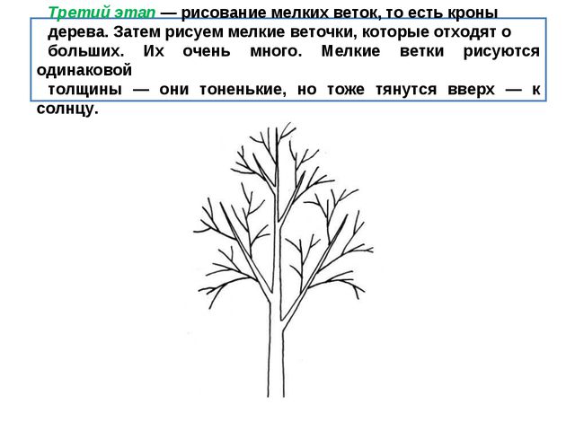 Учимся рисовать деревья, цветы, животных. Презентация по изо для дошкольников