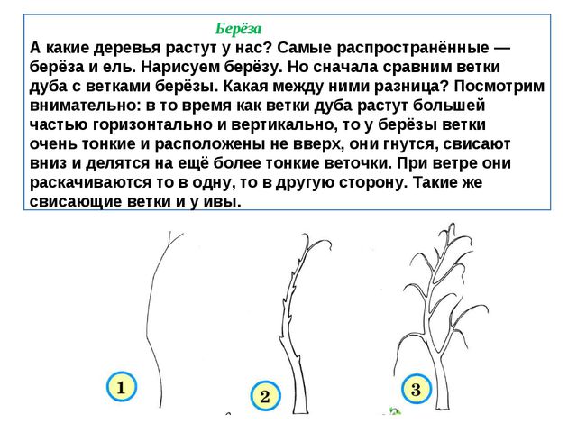 Учимся рисовать деревья, цветы, животных. Презентация по изо для дошкольников
