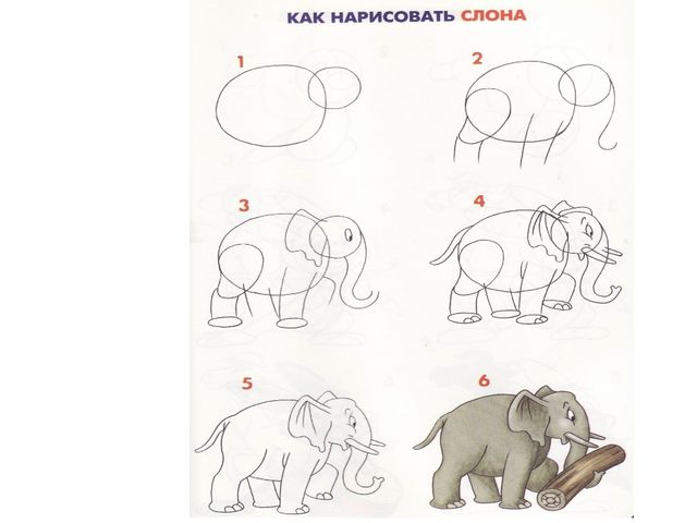 Учимся рисовать деревья, цветы, животных. Презентация по изо для дошкольников