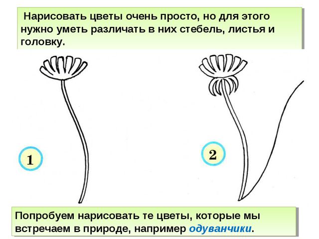 Учимся рисовать деревья, цветы, животных. Презентация по изо для дошкольников