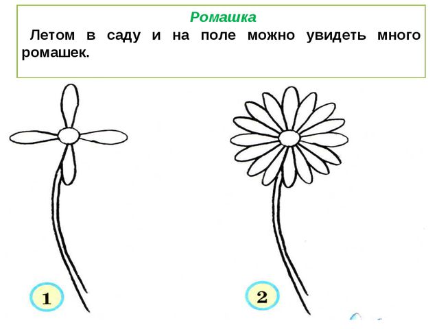 Учимся рисовать деревья, цветы, животных. Презентация по изо для дошкольников