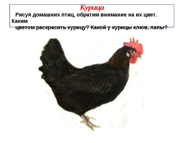 Учимся рисовать деревья, цветы, животных. Презентация по изо для дошкольников
