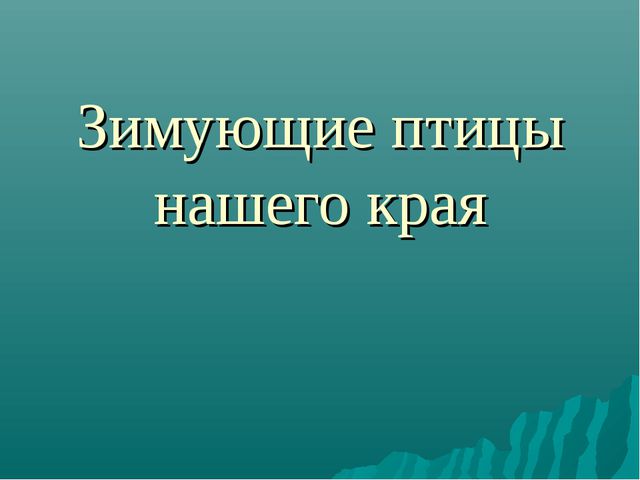 Зимующие птицы нашего края. Презентация для детей