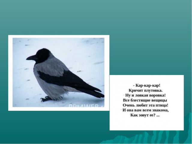 Зимующие птицы нашего края. Презентация для детей