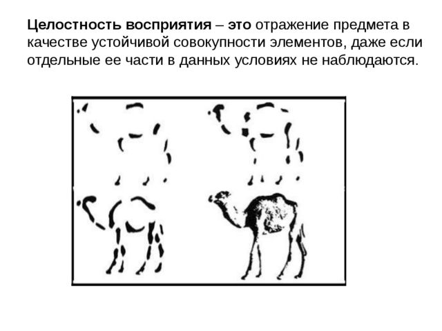 Считает что у дошкольников восприятие картинки значительно опережает их изобразительные возможности