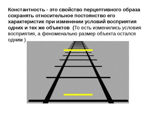 Константность. Константность восприятия. Константность восприятия примеры. Константность постоянство в восприятии. Константность восприятия формы.