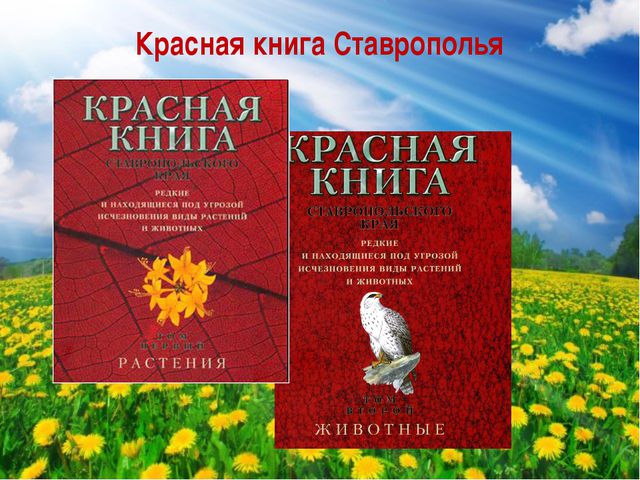 Нравственно-патриотическое воспитание
