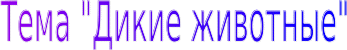 Shape2