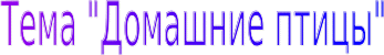 Shape2