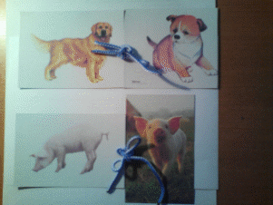 Picture 1