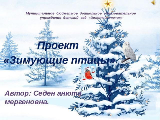 Зимующие птицы для детей средней группы