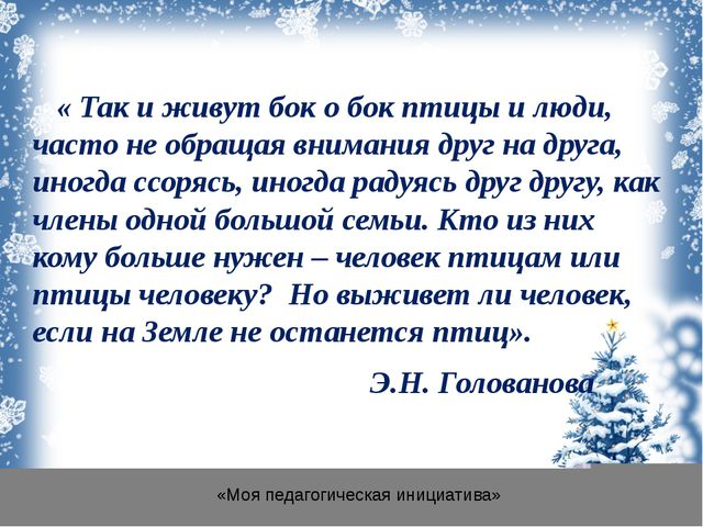 Зимующие птицы для детей средней группы