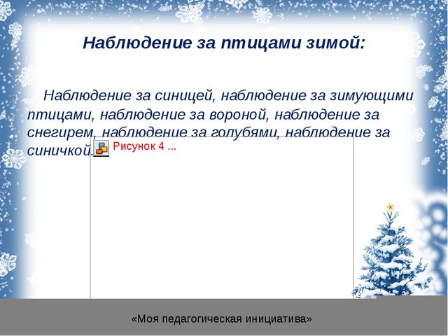 Зимующие птицы для детей средней группы
