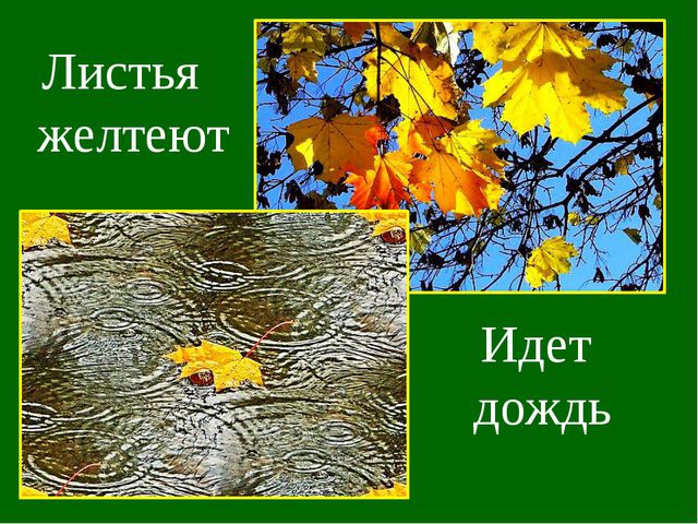 Овощи и фрукты. Презентация для детей