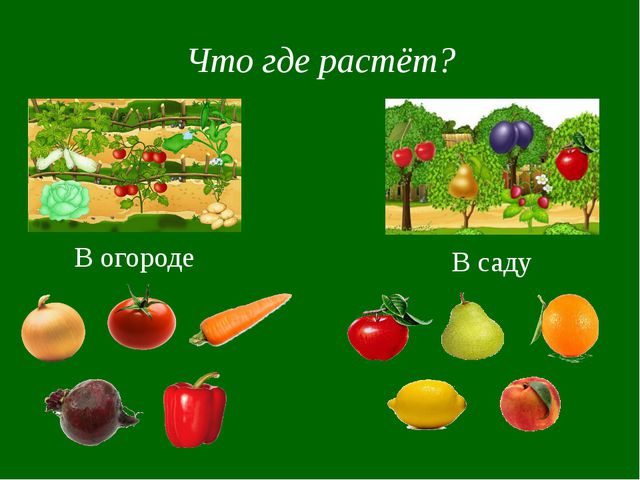 Овощи и фрукты. Презентация для детей