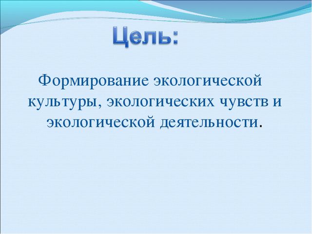 Дидактические игры в экологическом воспитании старших дошкольников в рамках внедрения фгос в доу