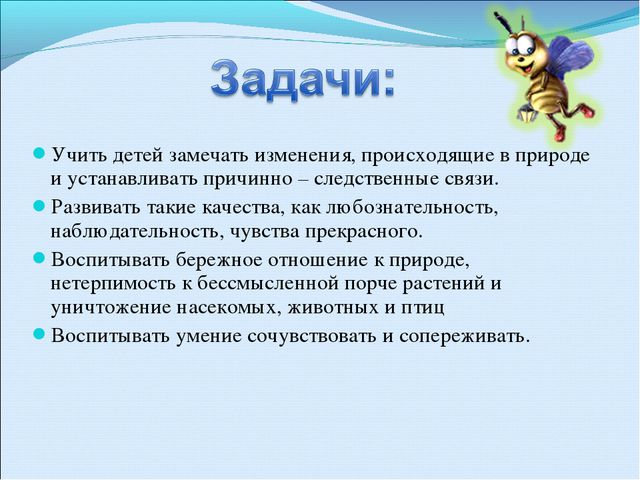 Дидактические игры в экологическом воспитании старших дошкольников в рамках внедрения фгос в доу