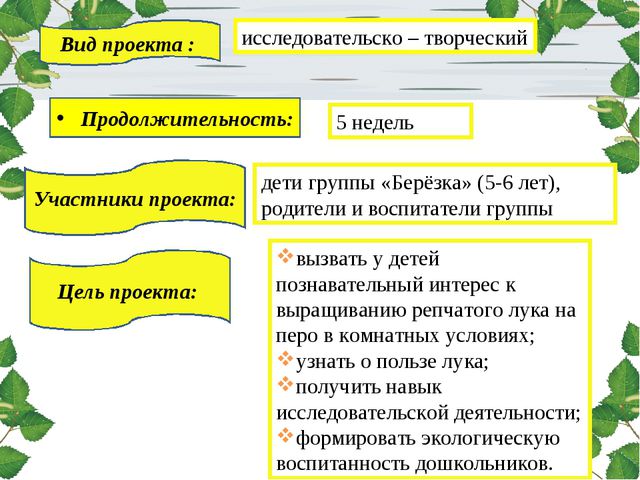 Лук. Презентация для дошкольников